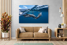 Pixalot Dolphin Trio