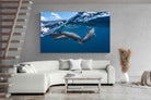 Pixalot Dolphin Trio