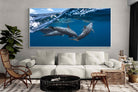 Pixalot Dolphin Trio