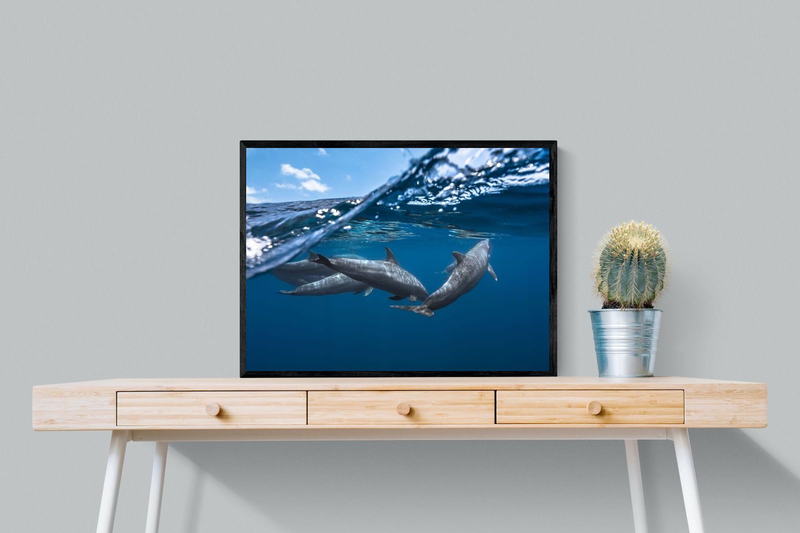 Pixalot Dolphin Trio