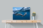 Pixalot Dolphin Trio