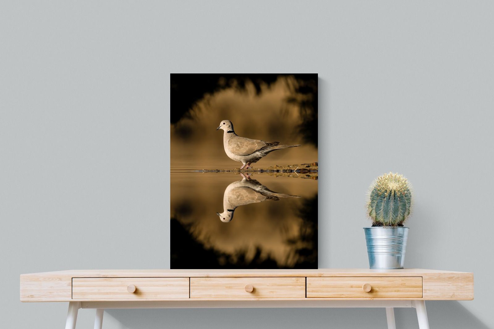 Pixalot Dove