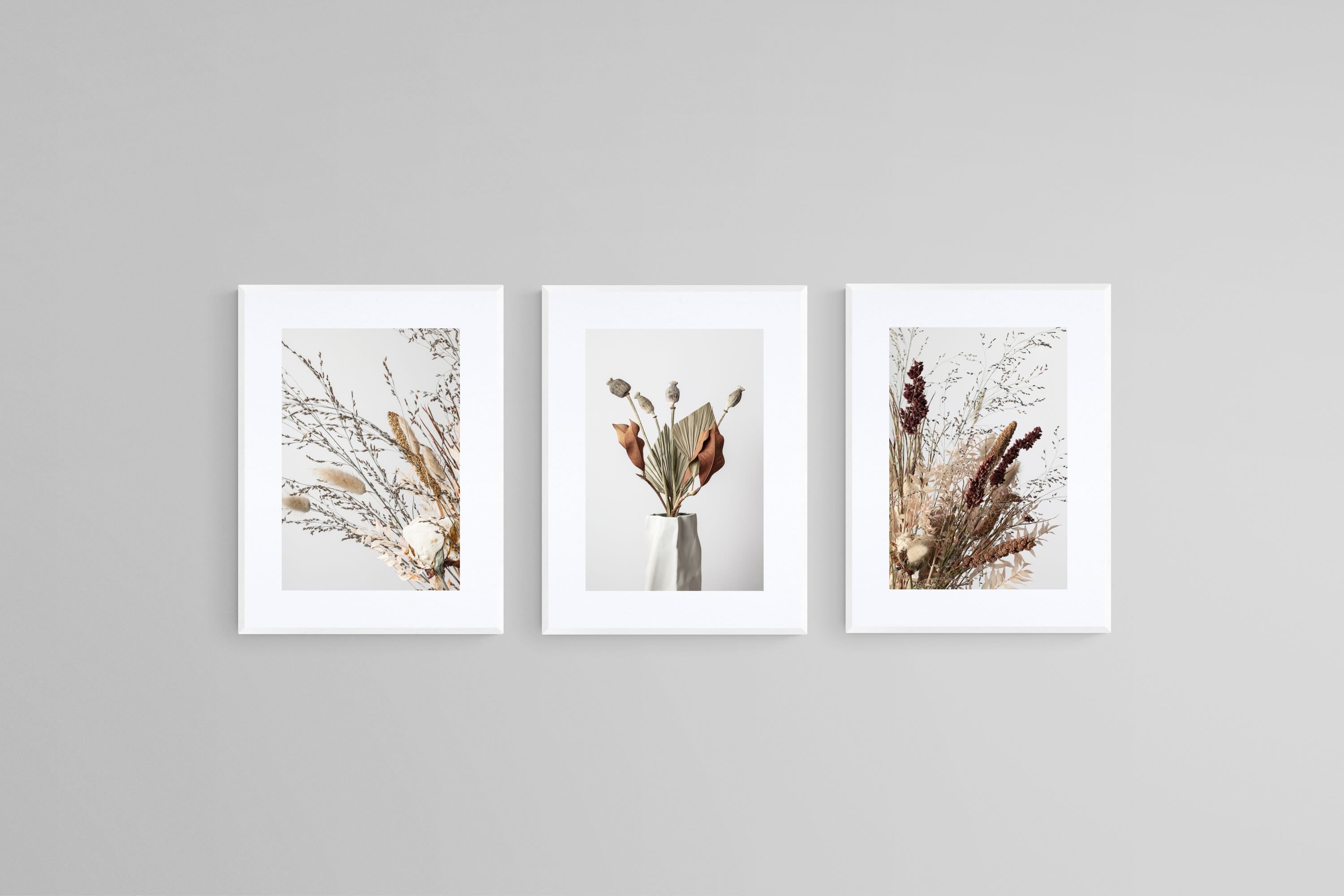 Dried Arrangement Set