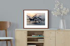 Pixalot ® Driftwood Sunrise
