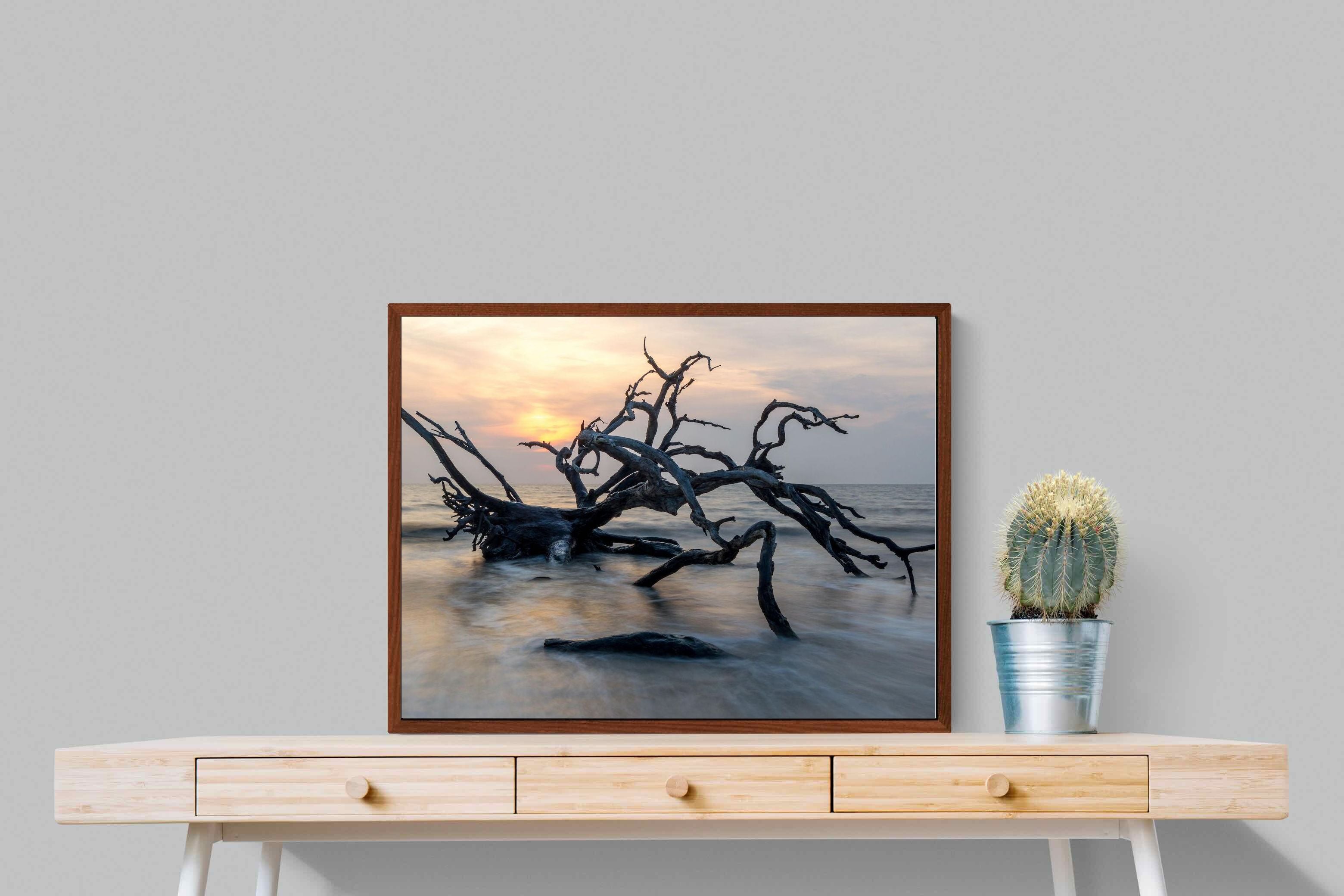 Pixalot ® Driftwood Sunrise