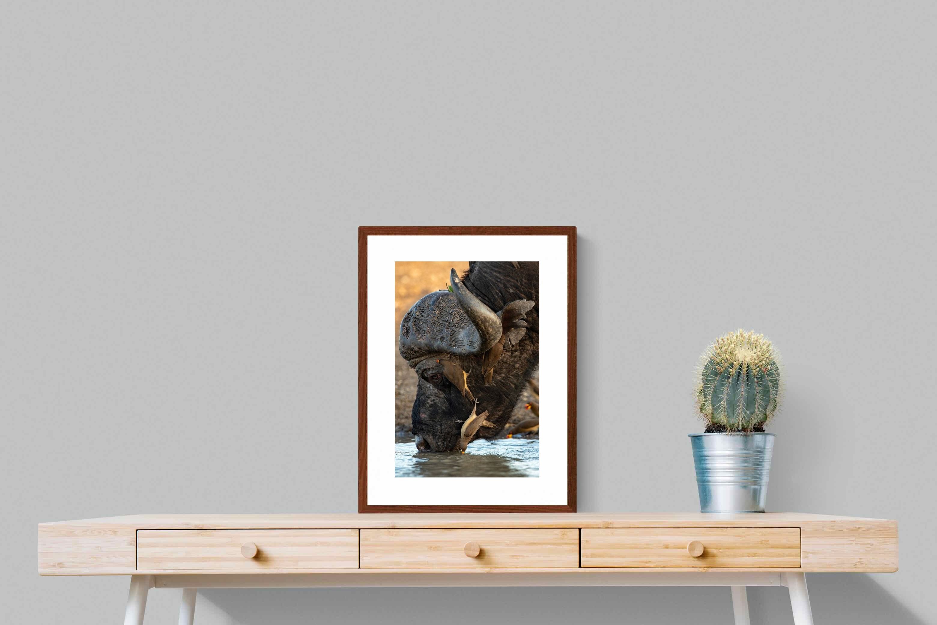 Pixalot Drinking Buffalo