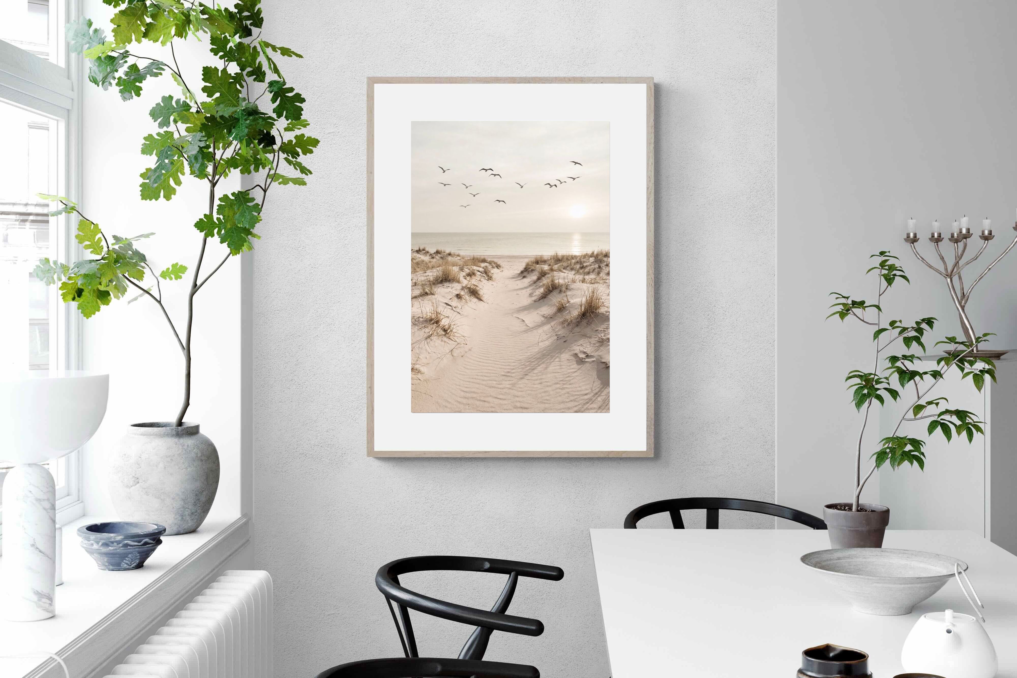 Pixalot ® Dune Flight
