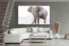 Pixalot ® Dust Bath Giant
