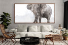Pixalot ® Dust Bath Giant