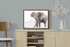 Pixalot ® Dust Bath Giant