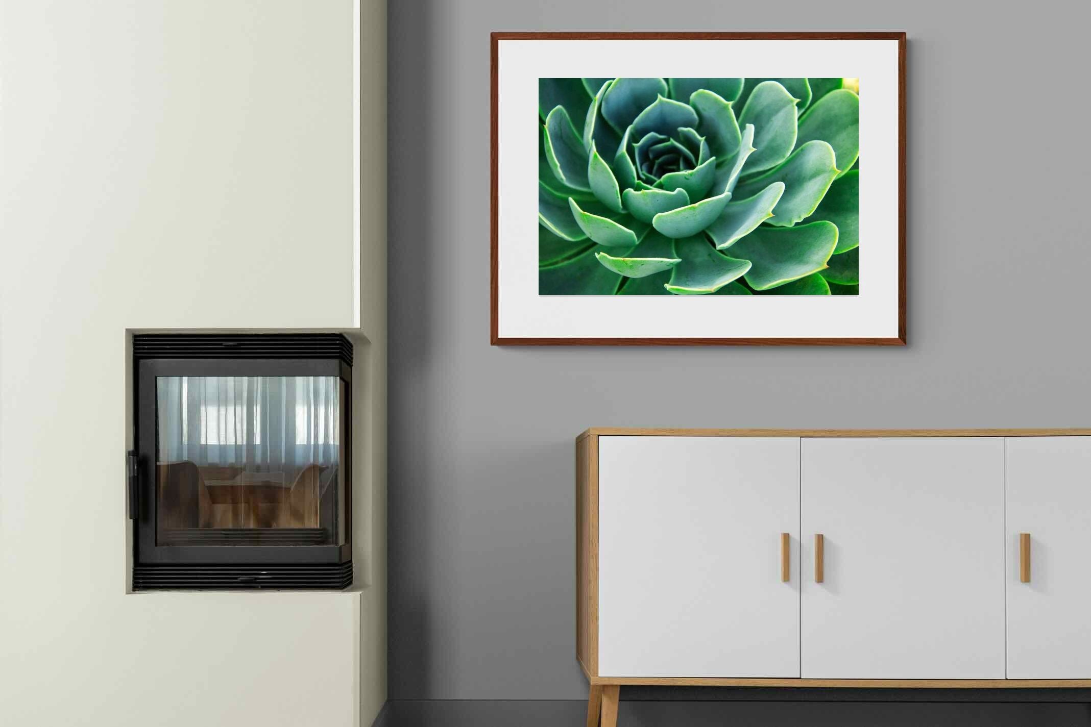 Pixalot ® Echeveria Elegans