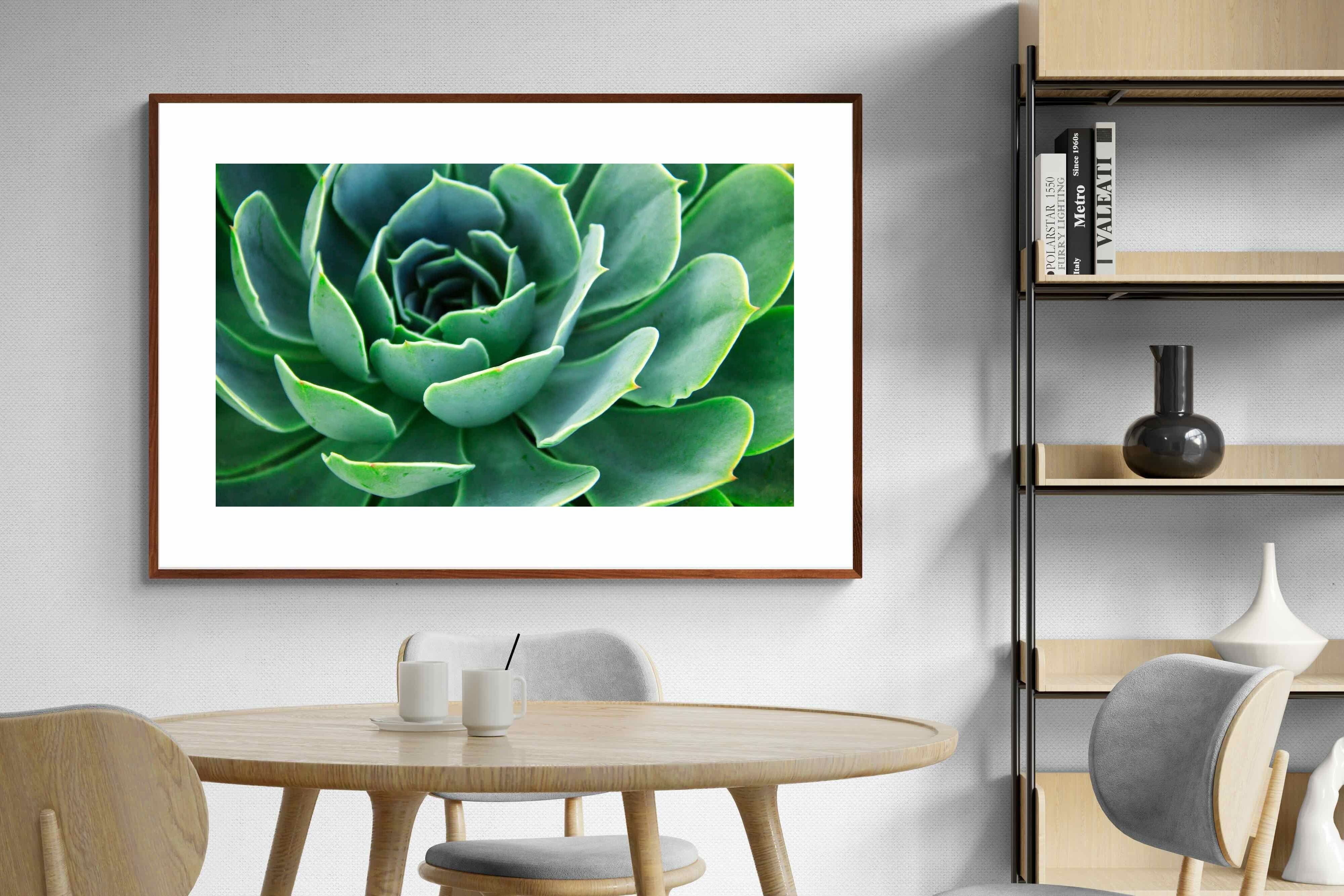 Pixalot ® Echeveria Elegans