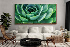 Pixalot ® Echeveria Elegans