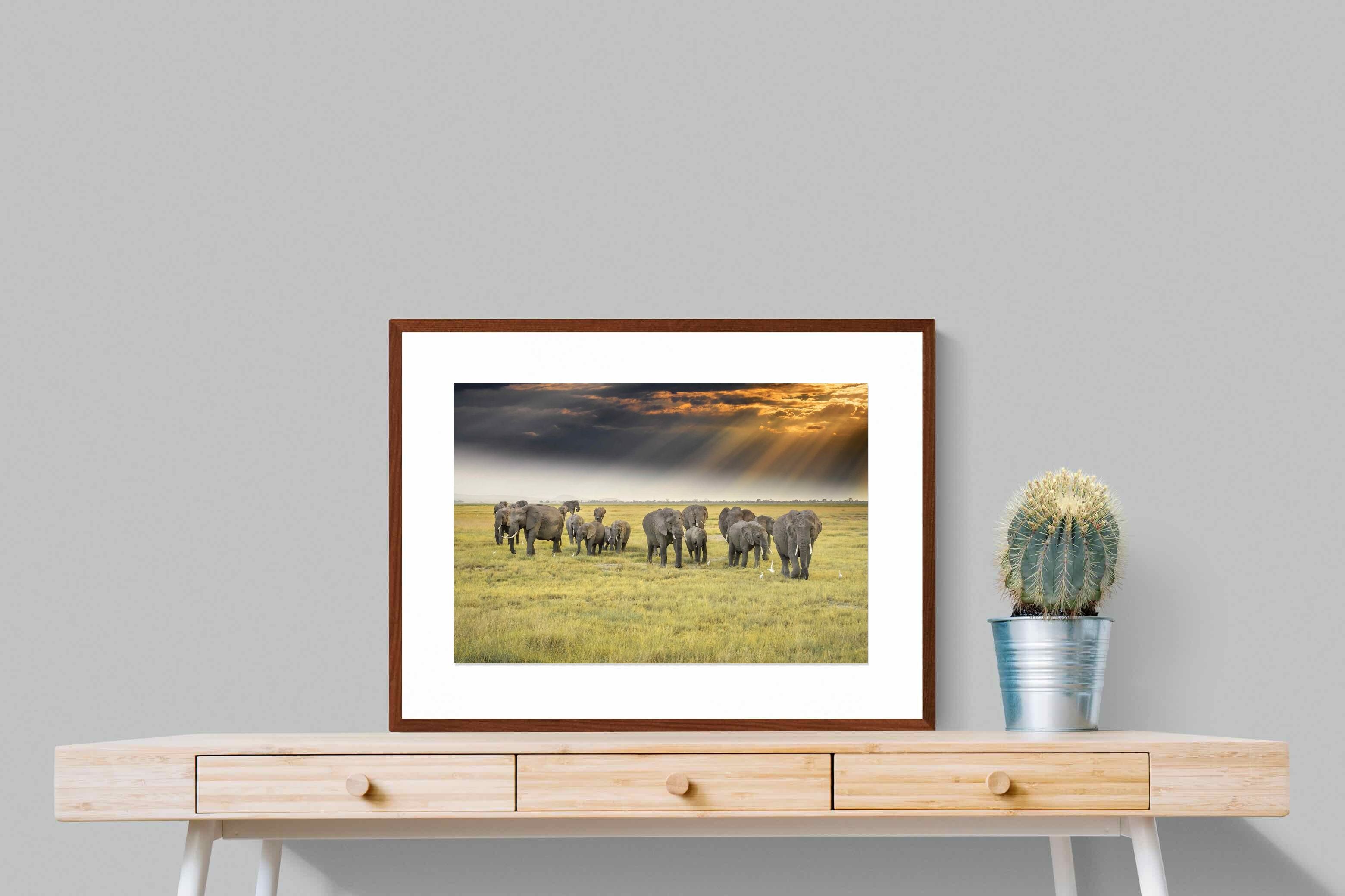 Pixalot ® Elephant Convoy (colour)