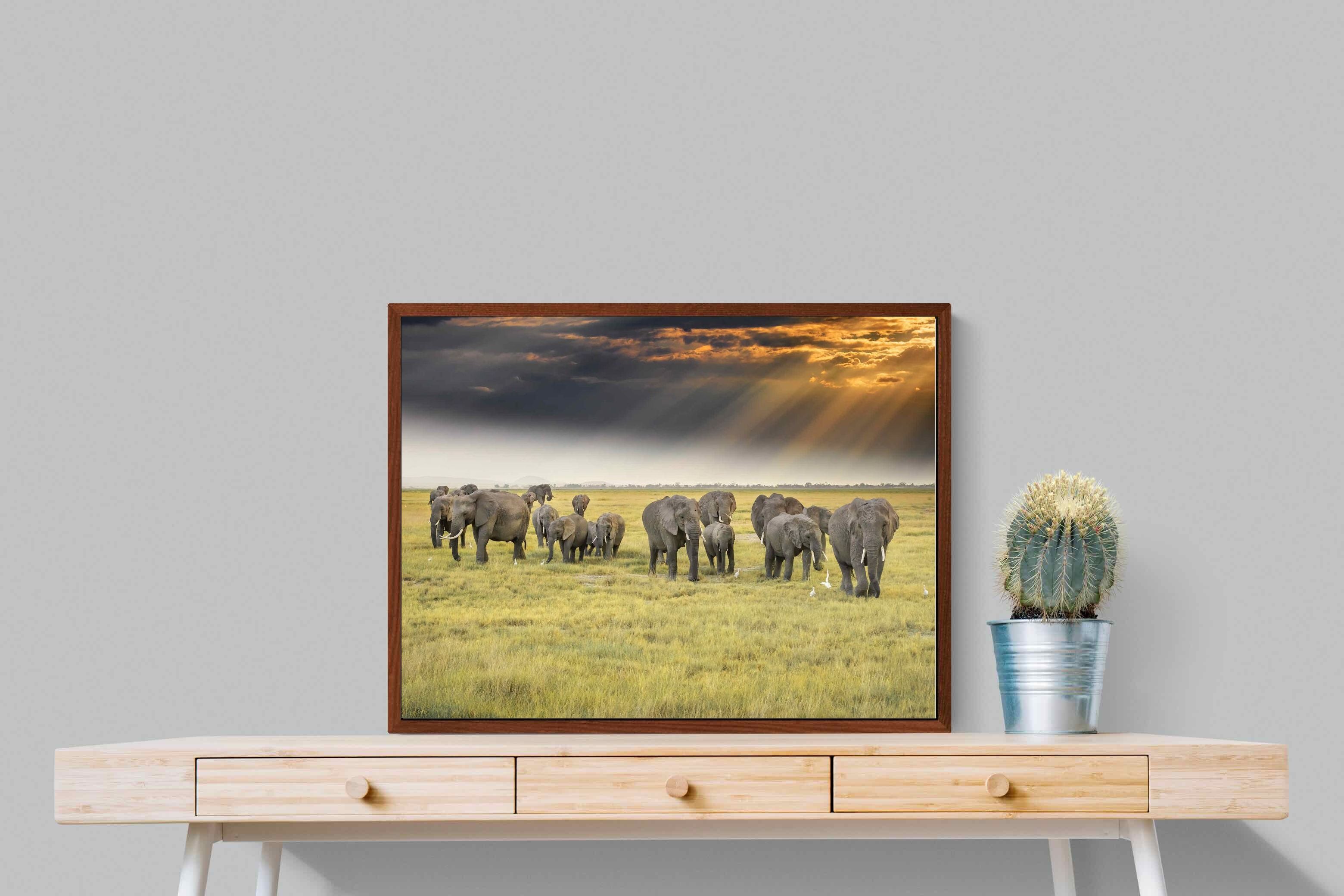 Pixalot ® Elephant Convoy (colour)