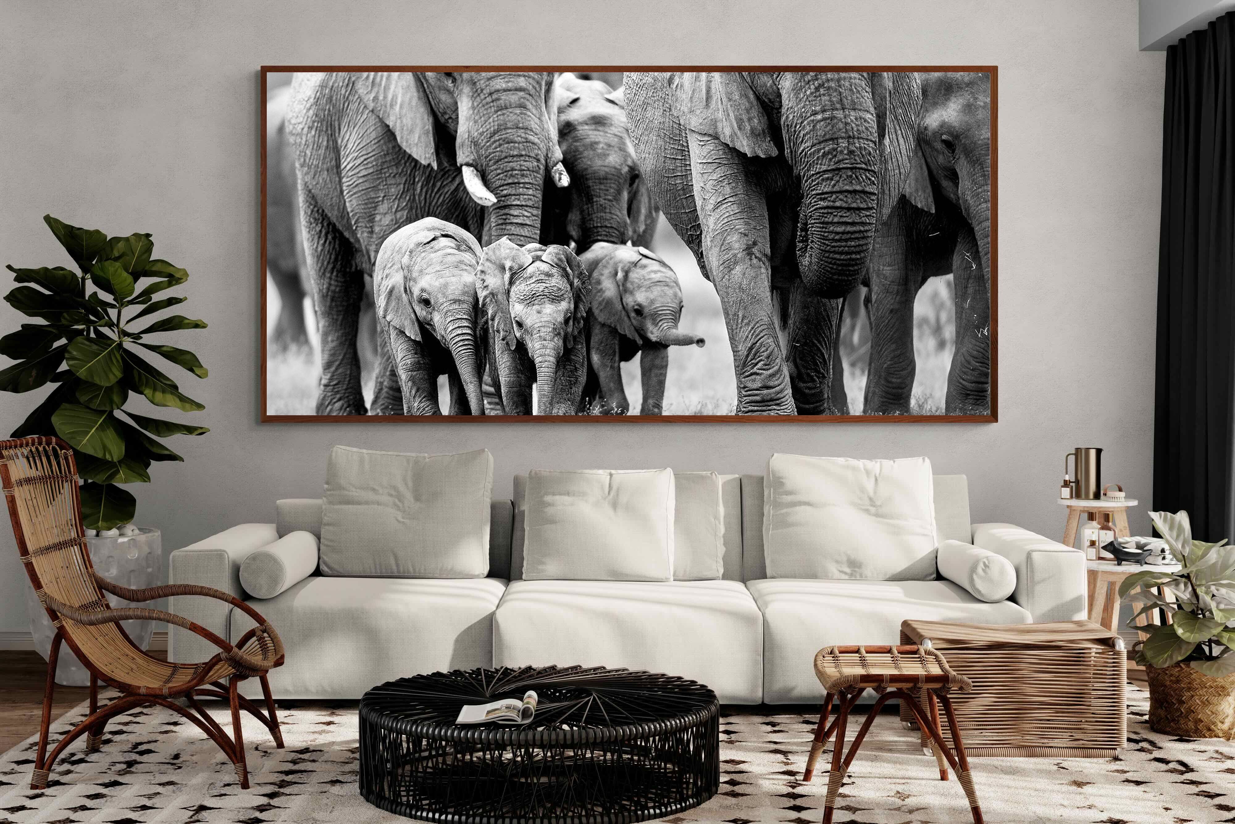 Pixalot ® Elephant Family