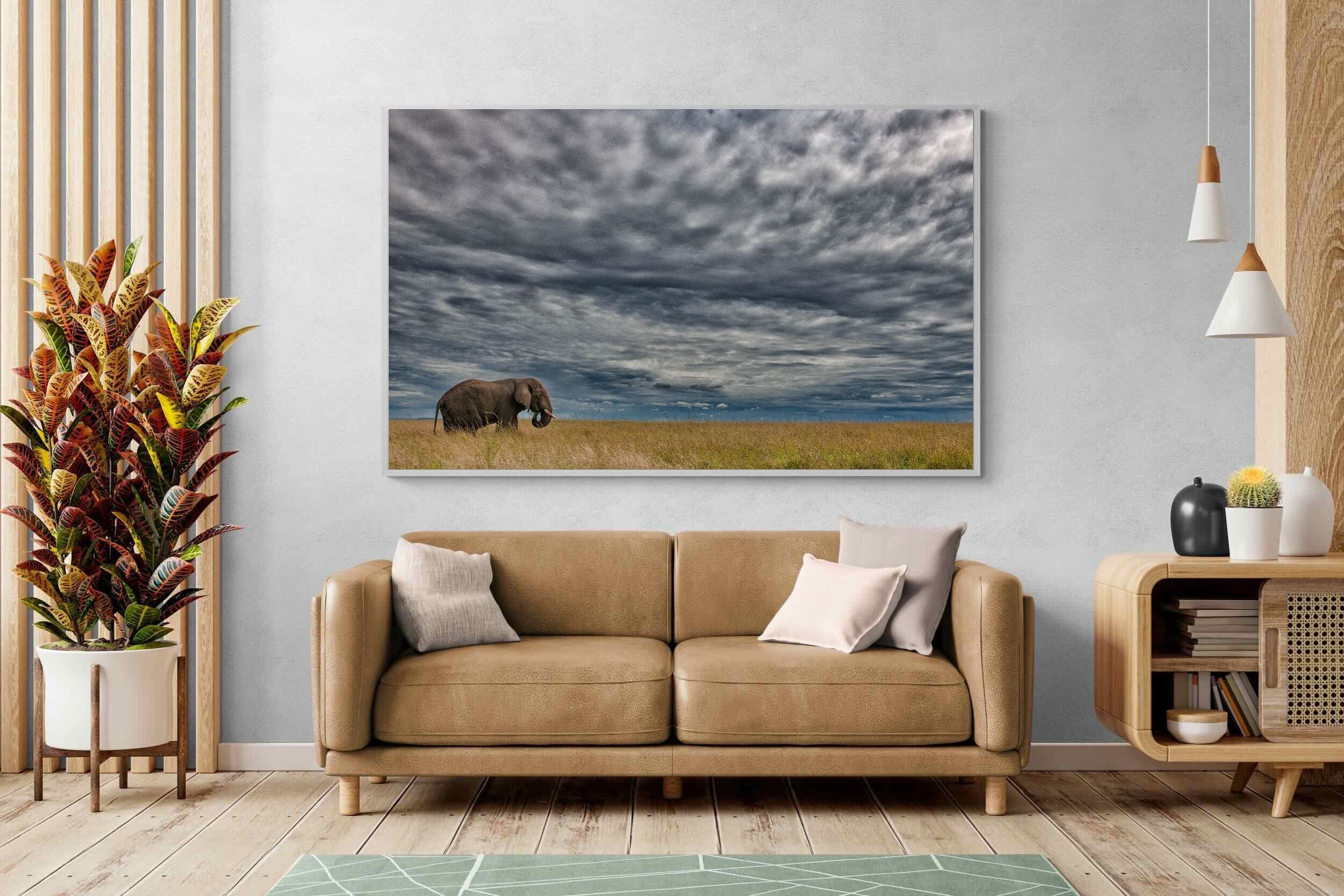 Pixalot Elephant Horizon