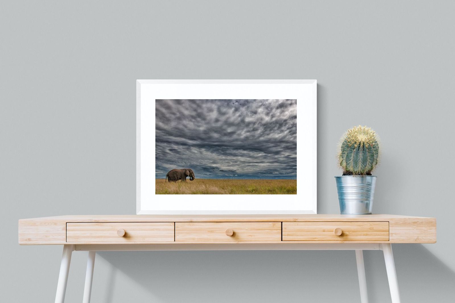 Pixalot Elephant Horizon