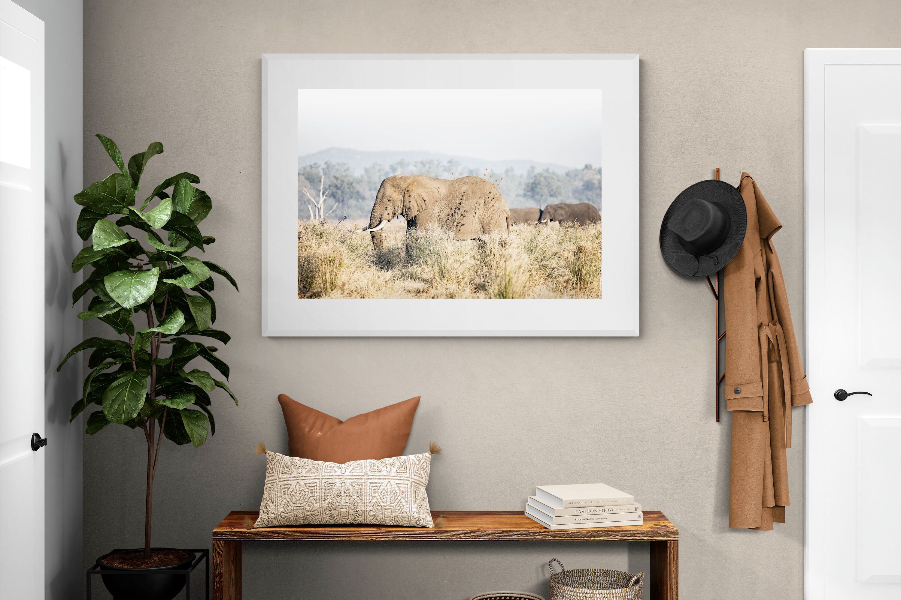 Pixalot Elephant in Leonotis