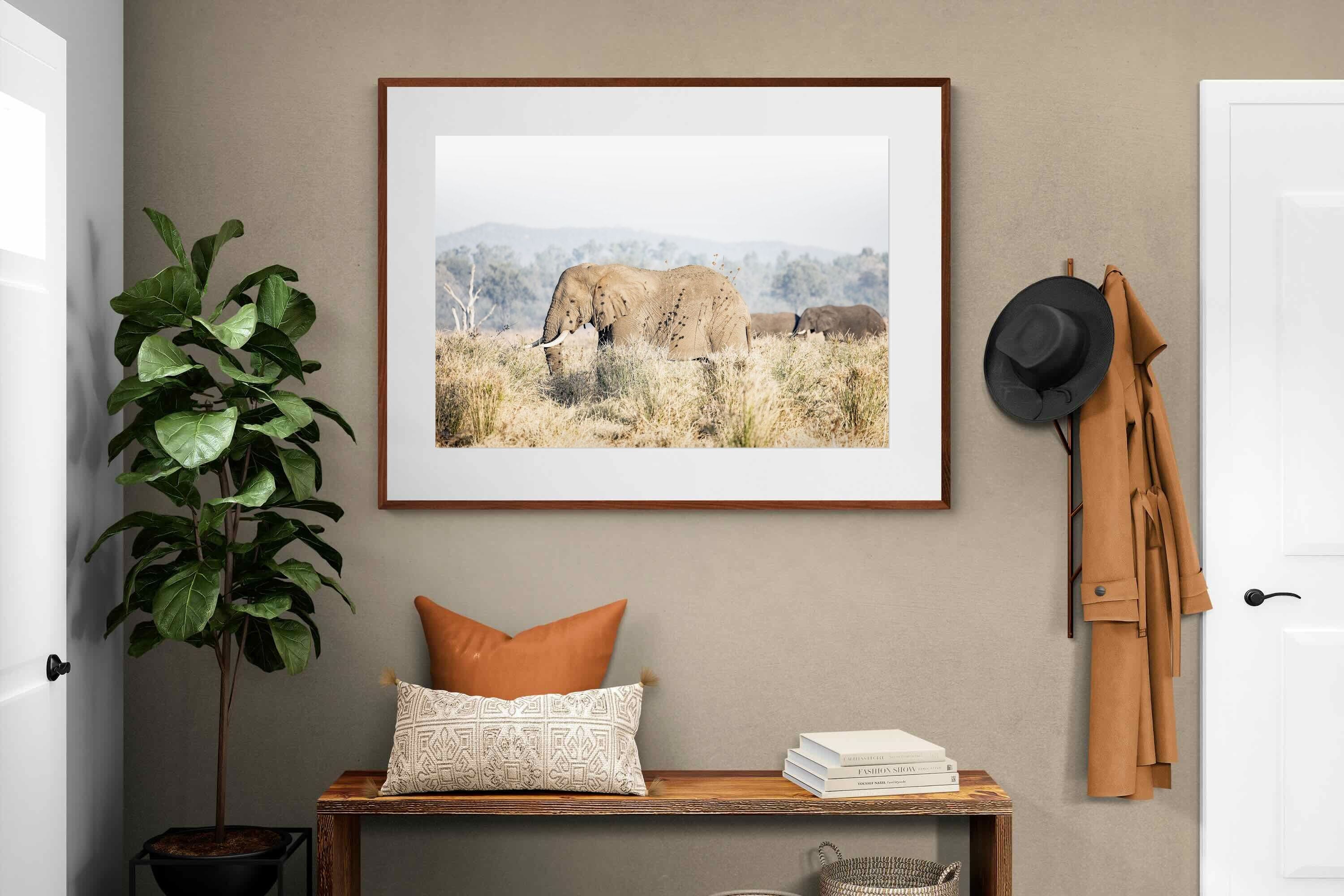 Pixalot Elephant in Leonotis