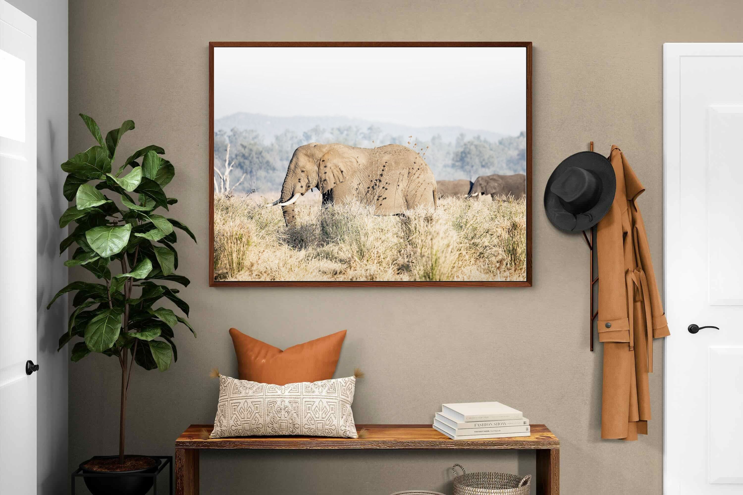 Pixalot Elephant in Leonotis