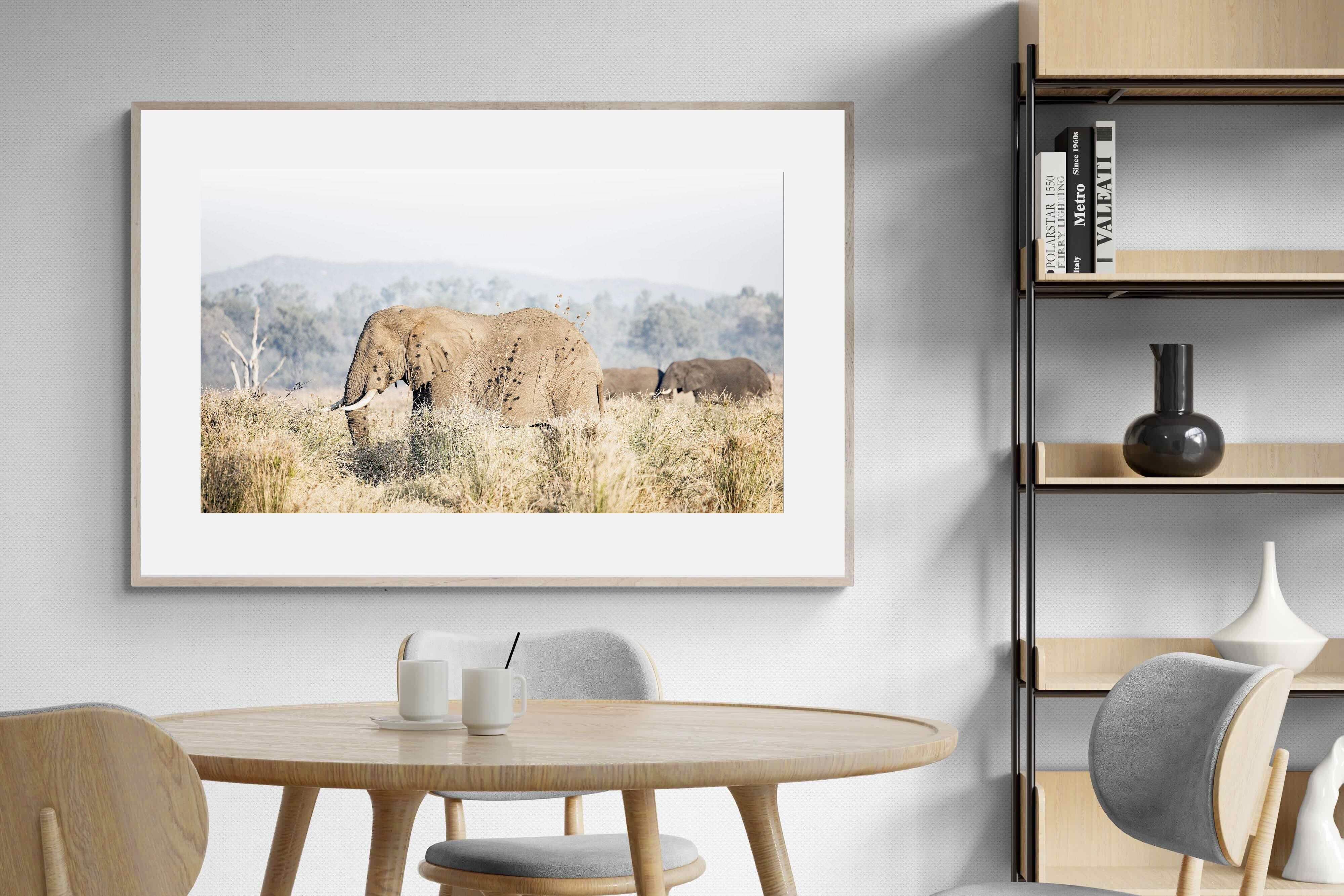 Pixalot Elephant in Leonotis