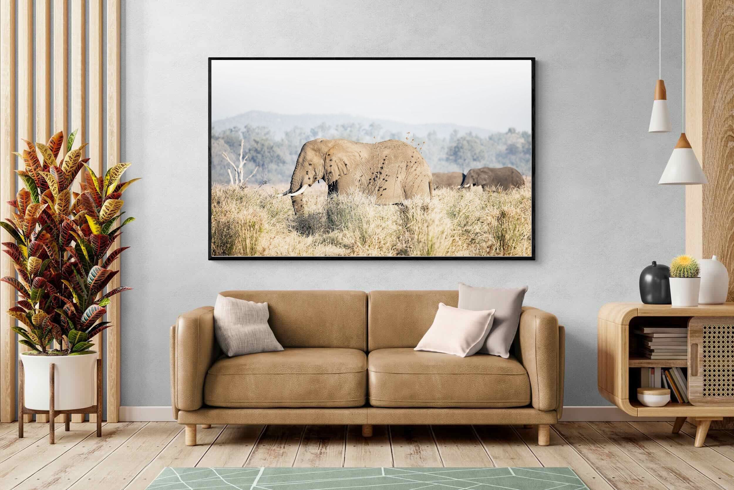 Pixalot Elephant in Leonotis