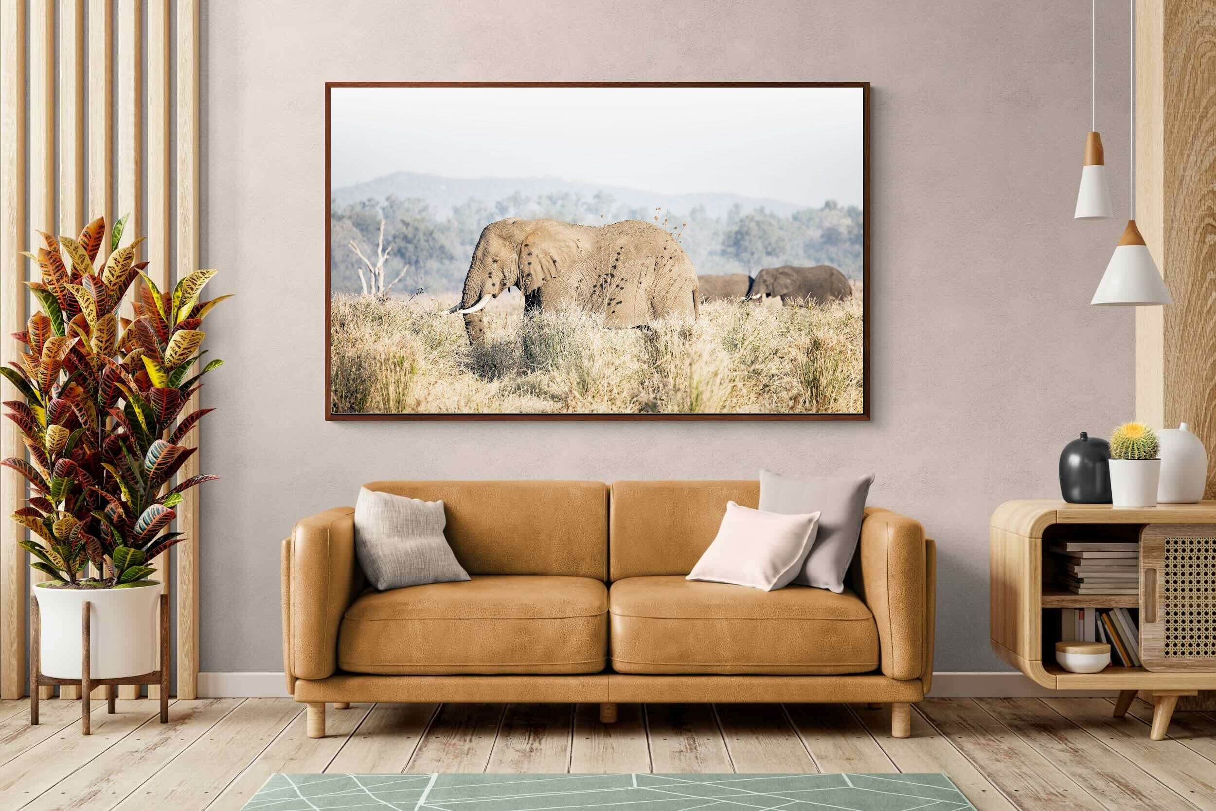 Pixalot Elephant in Leonotis