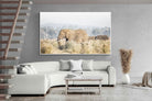 Pixalot Elephant in Leonotis