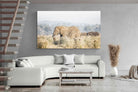 Pixalot Elephant in Leonotis
