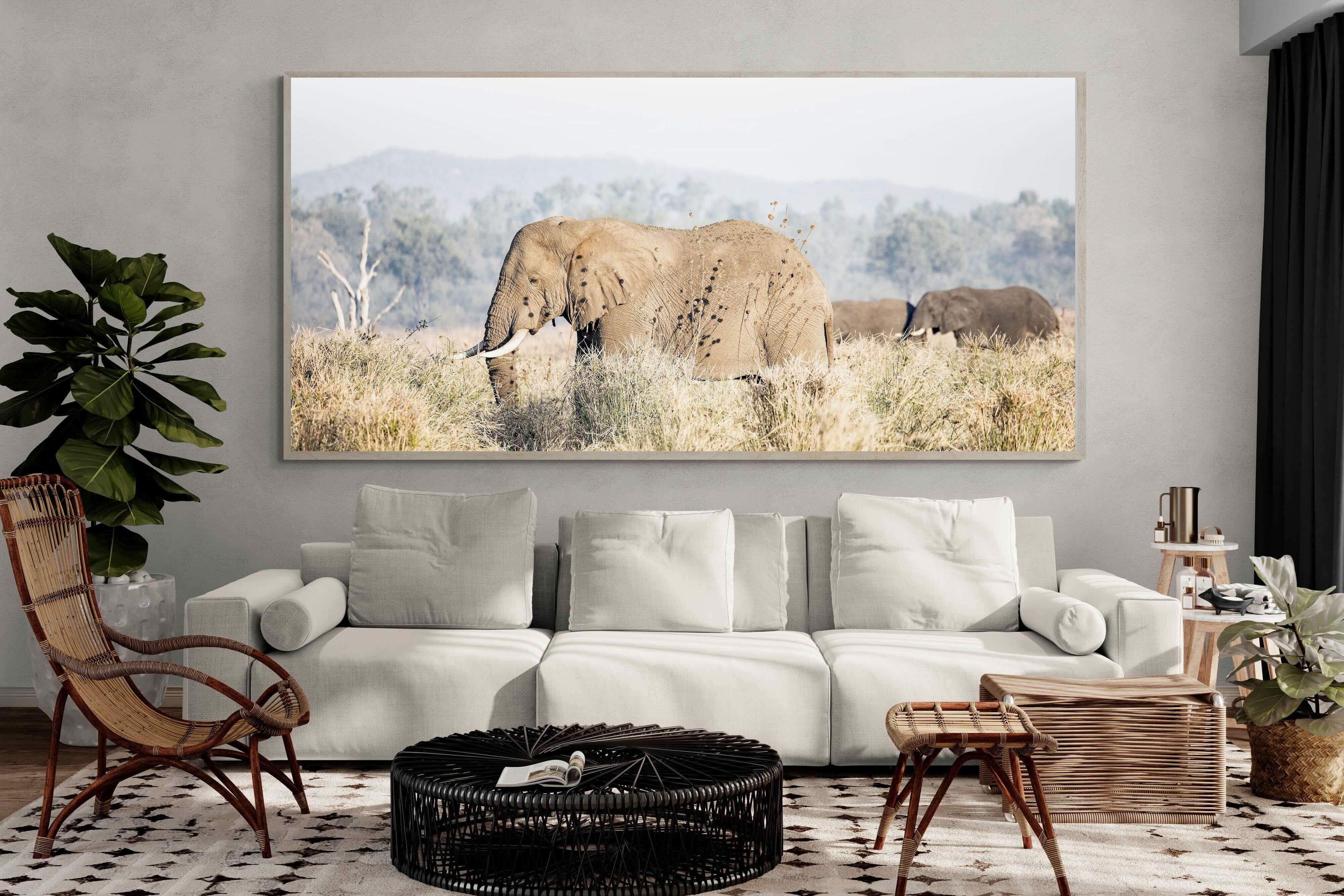 Pixalot Elephant in Leonotis