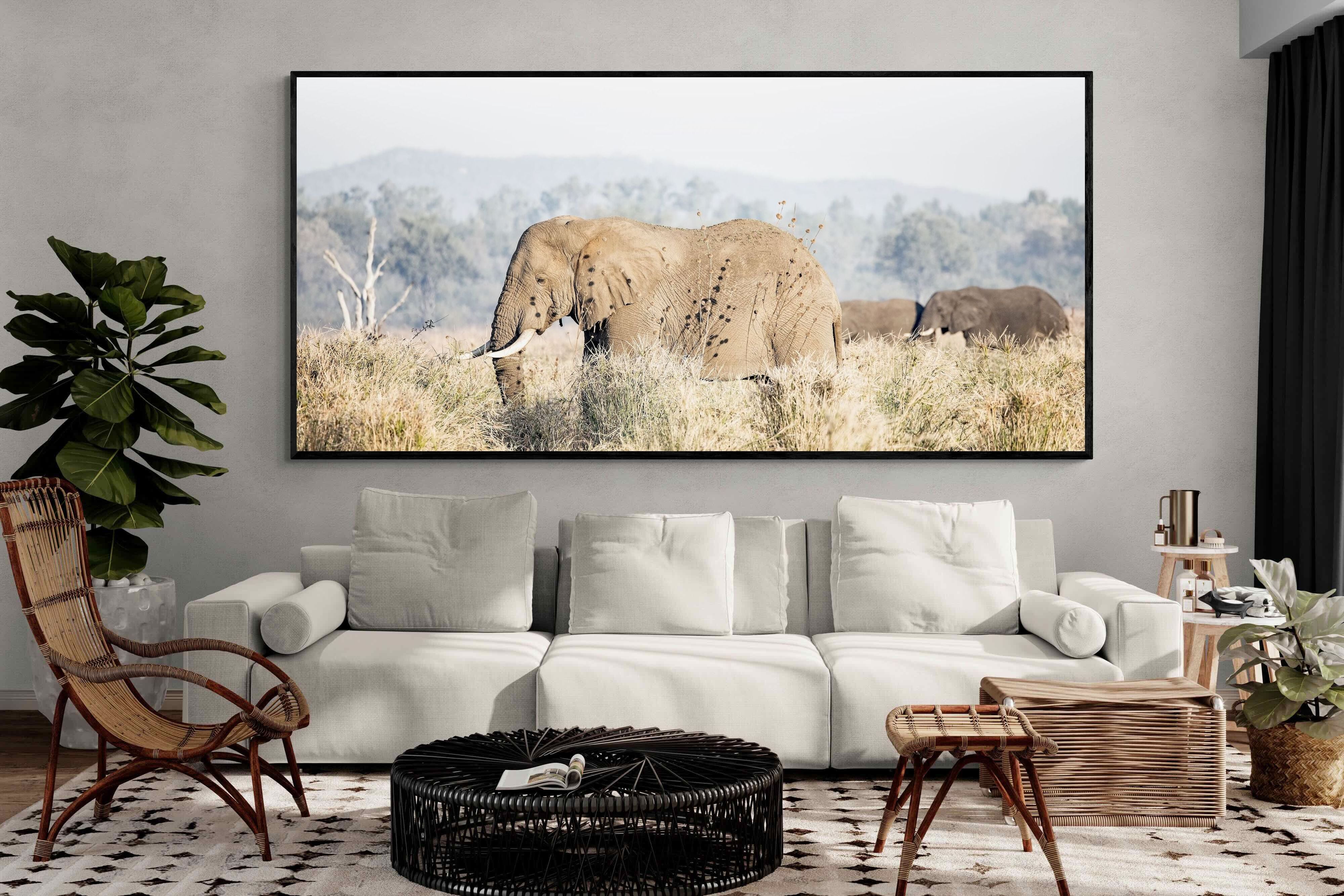 Pixalot Elephant in Leonotis