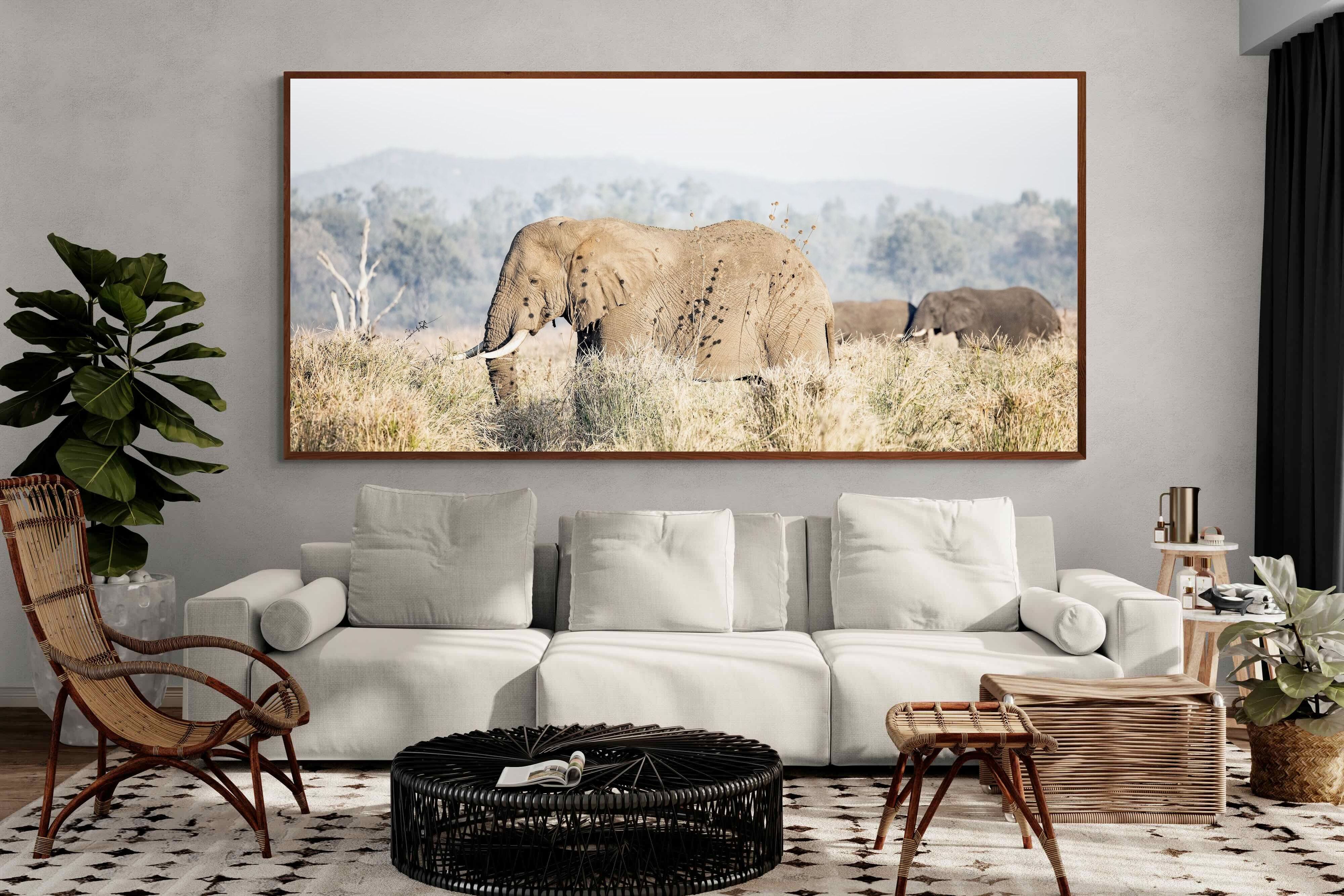 Pixalot Elephant in Leonotis