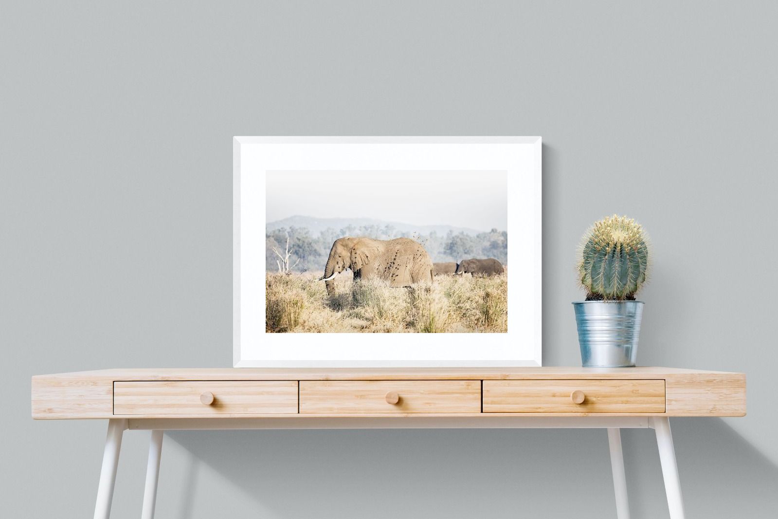 Pixalot Elephant in Leonotis