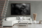 Pixalot ® Elephant Skin