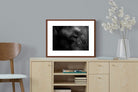 Pixalot ® Elephant Skin