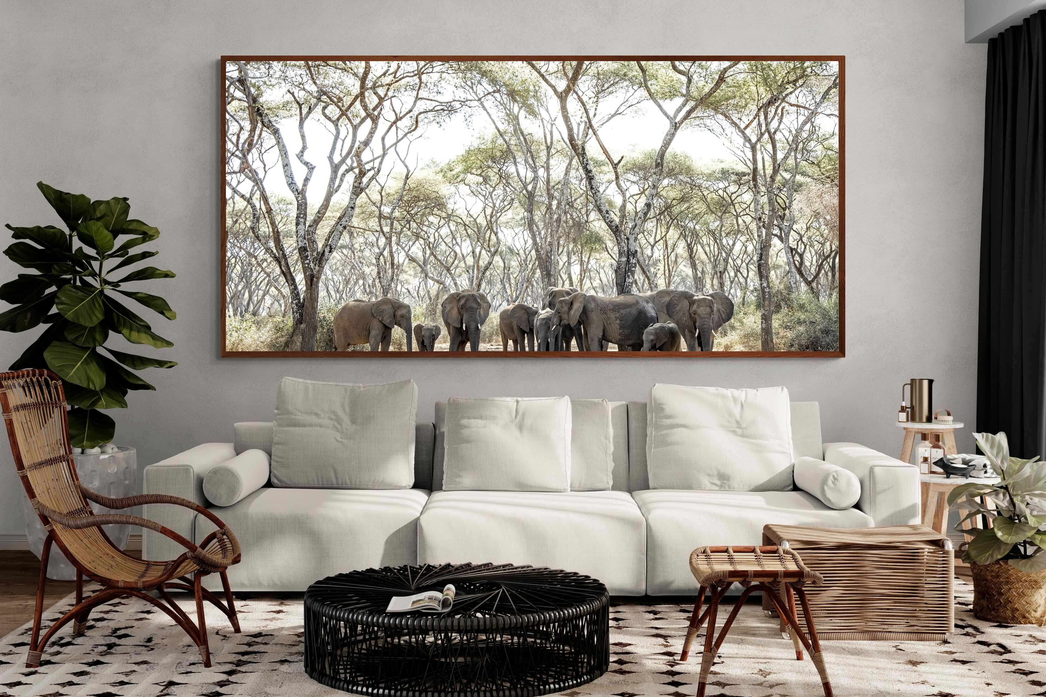 Pixalot Elephants Under Umbrellas