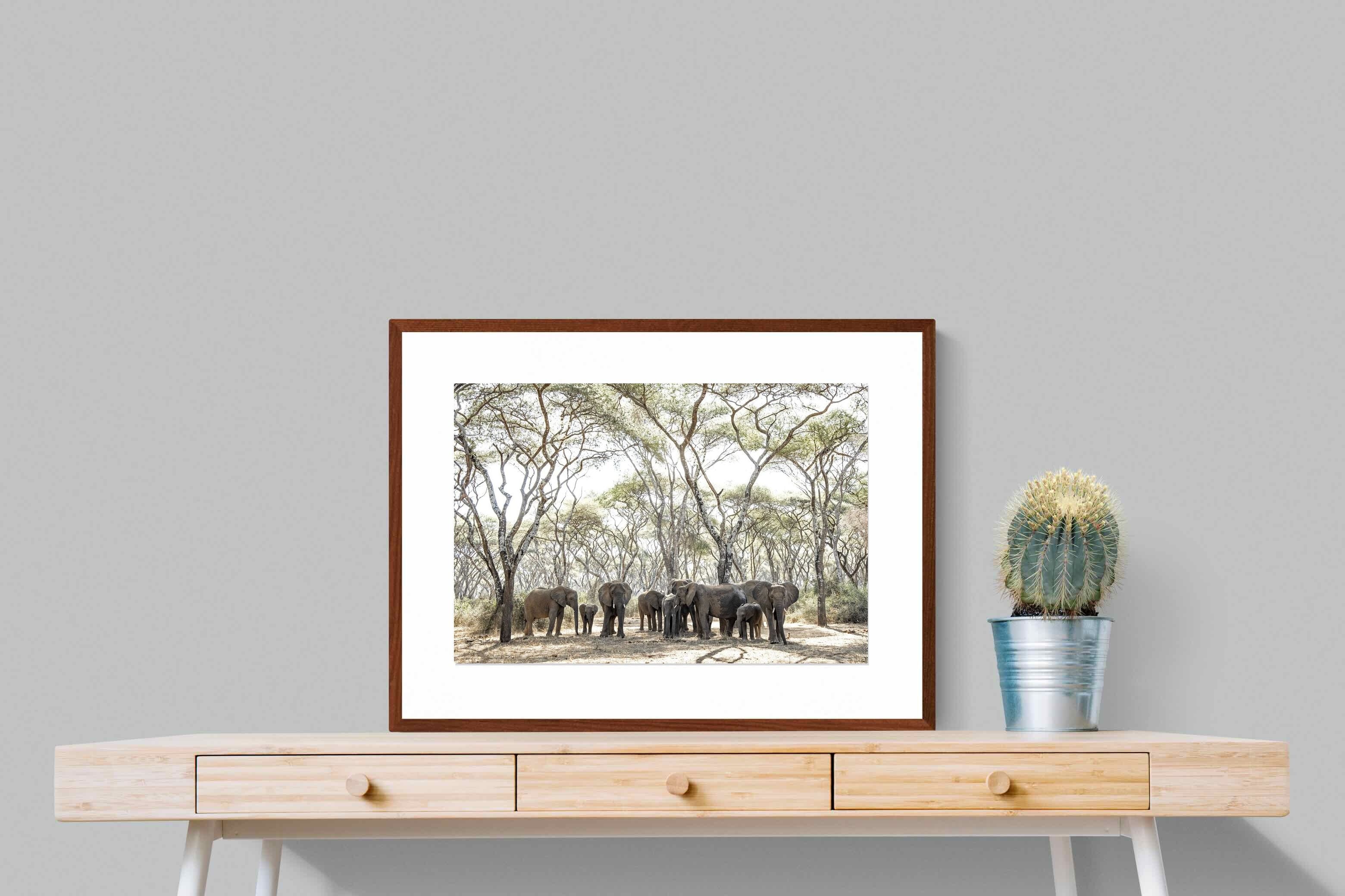 Pixalot Elephants Under Umbrellas