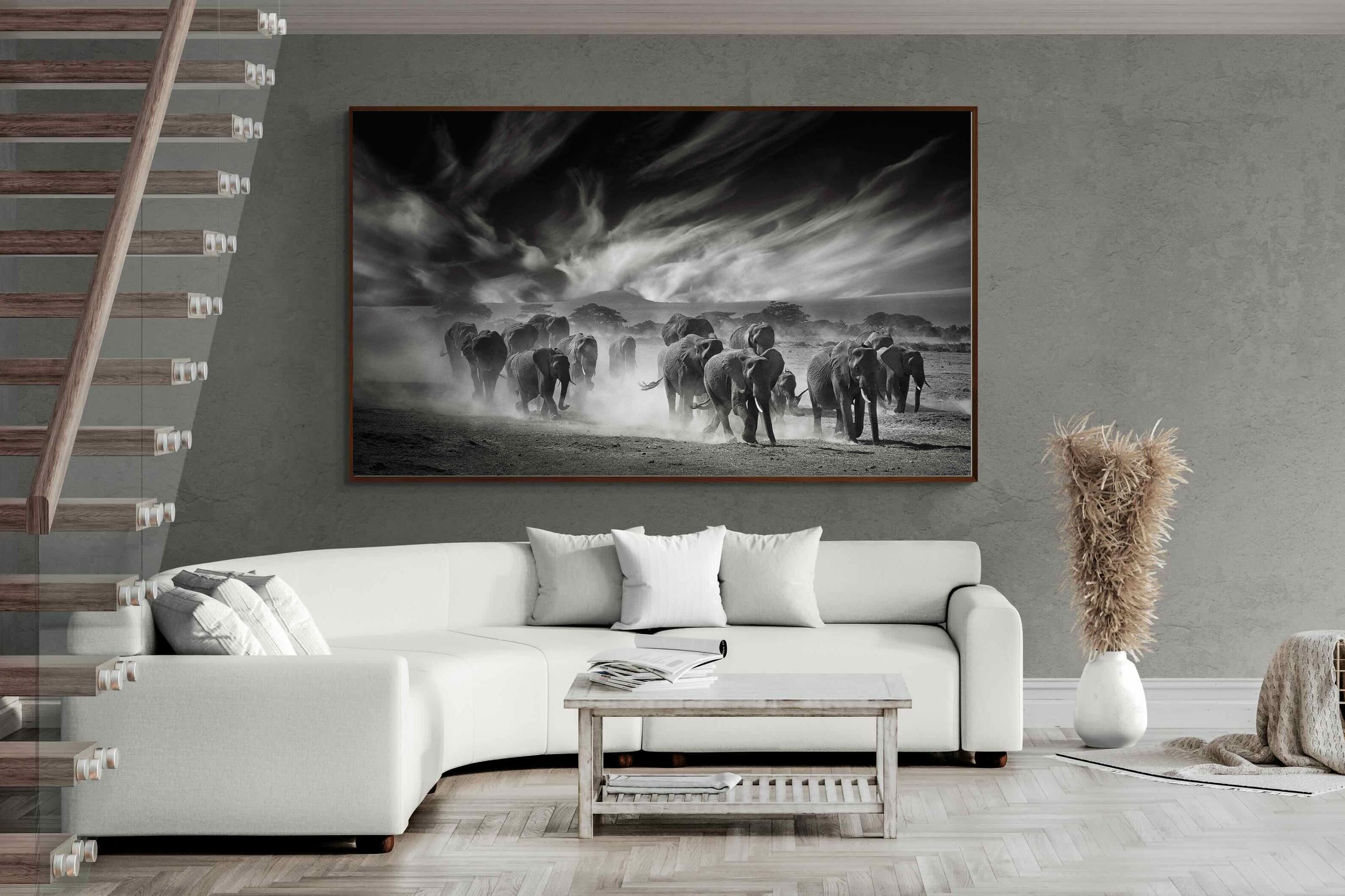 Pixalot ® Etosha Elephants