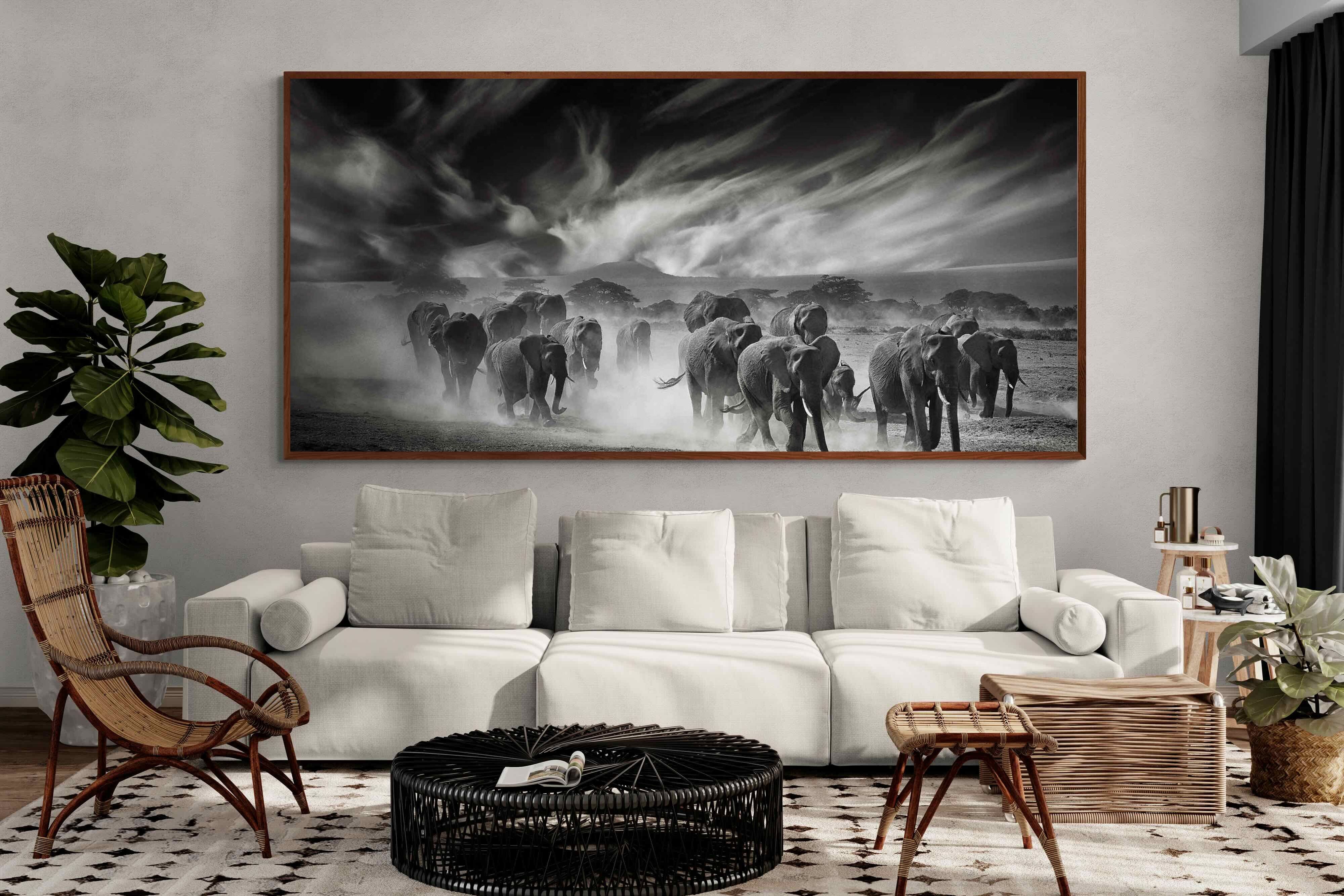 Pixalot ® Etosha Elephants