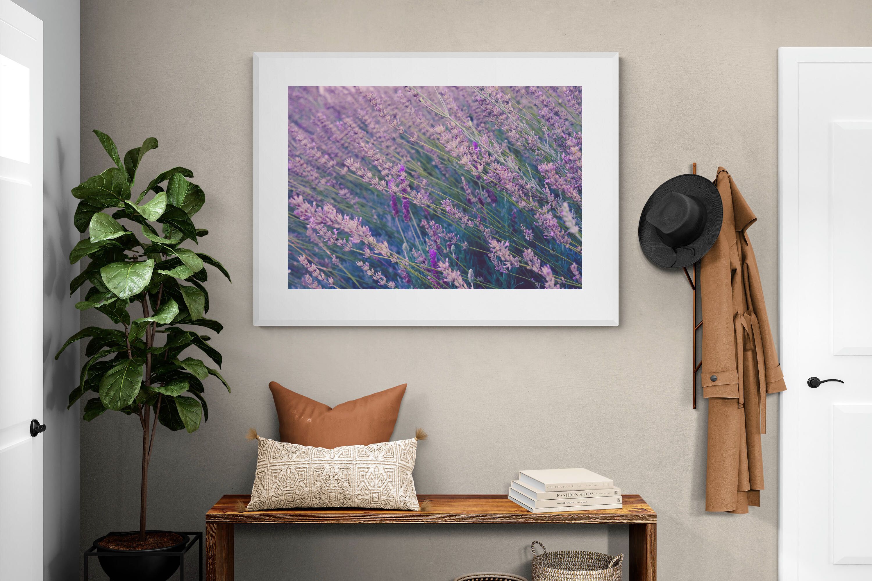 Pixalot Fields of Lavender