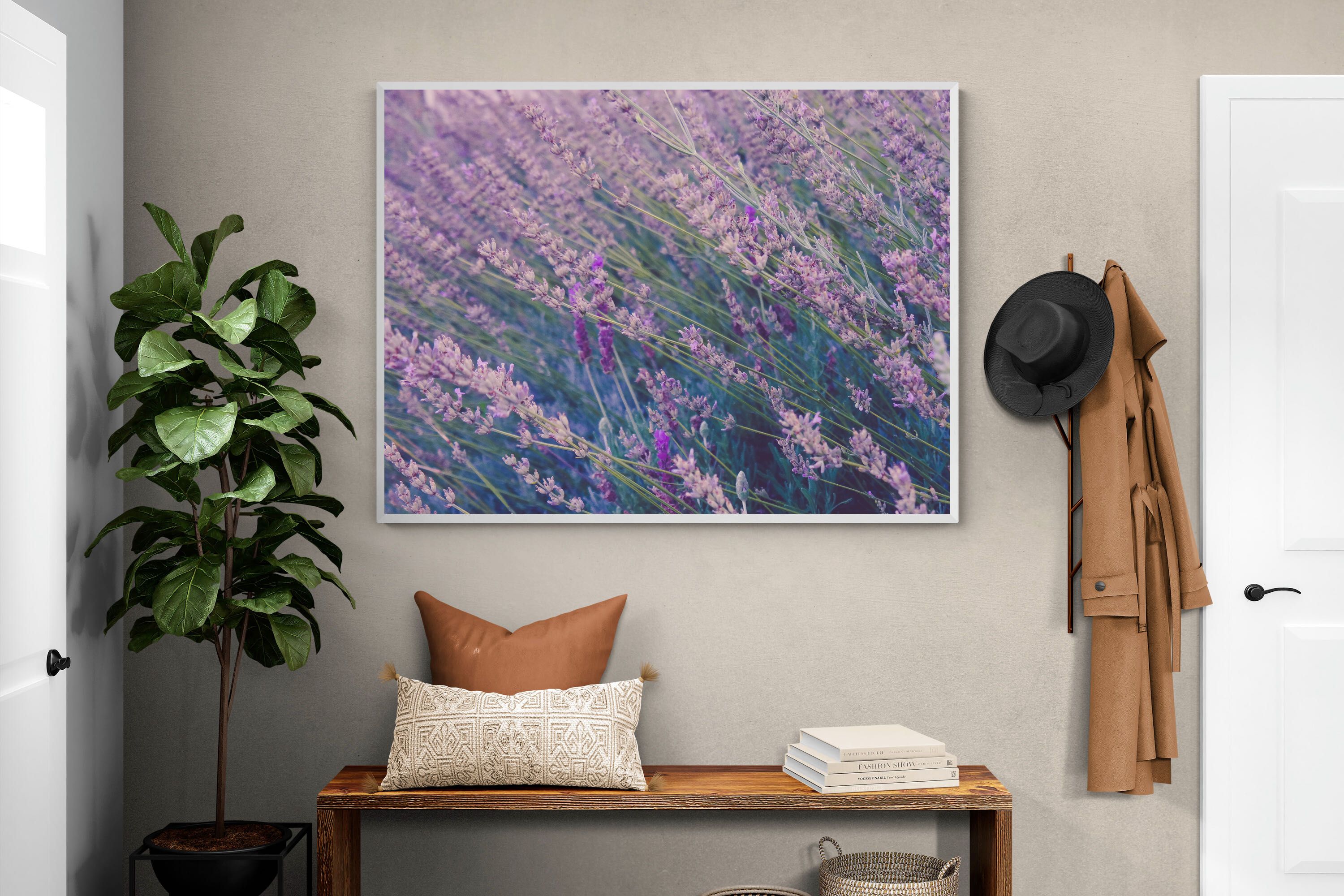 Pixalot Fields of Lavender