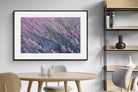Pixalot Fields of Lavender