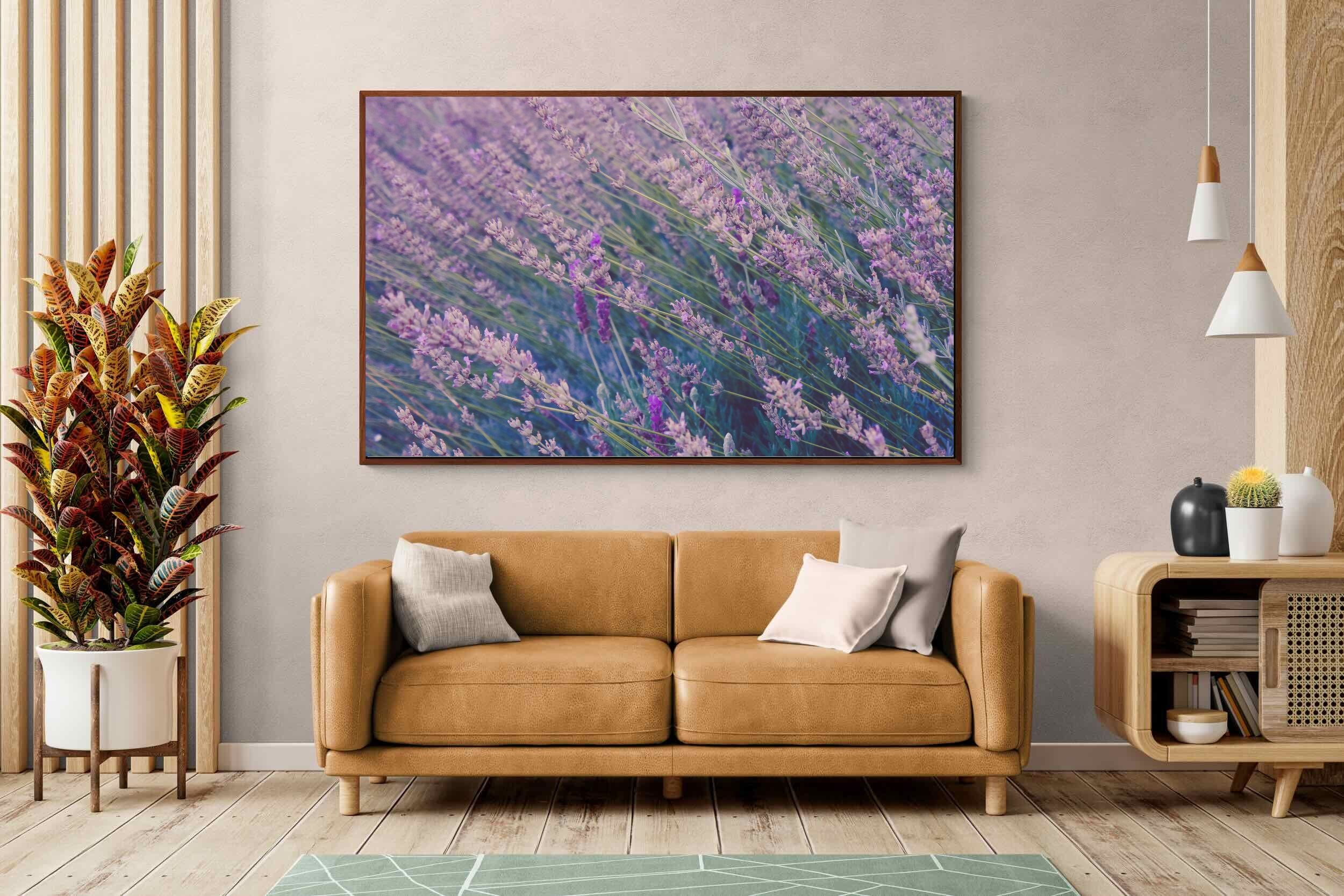 Pixalot ® Fields of Lavender