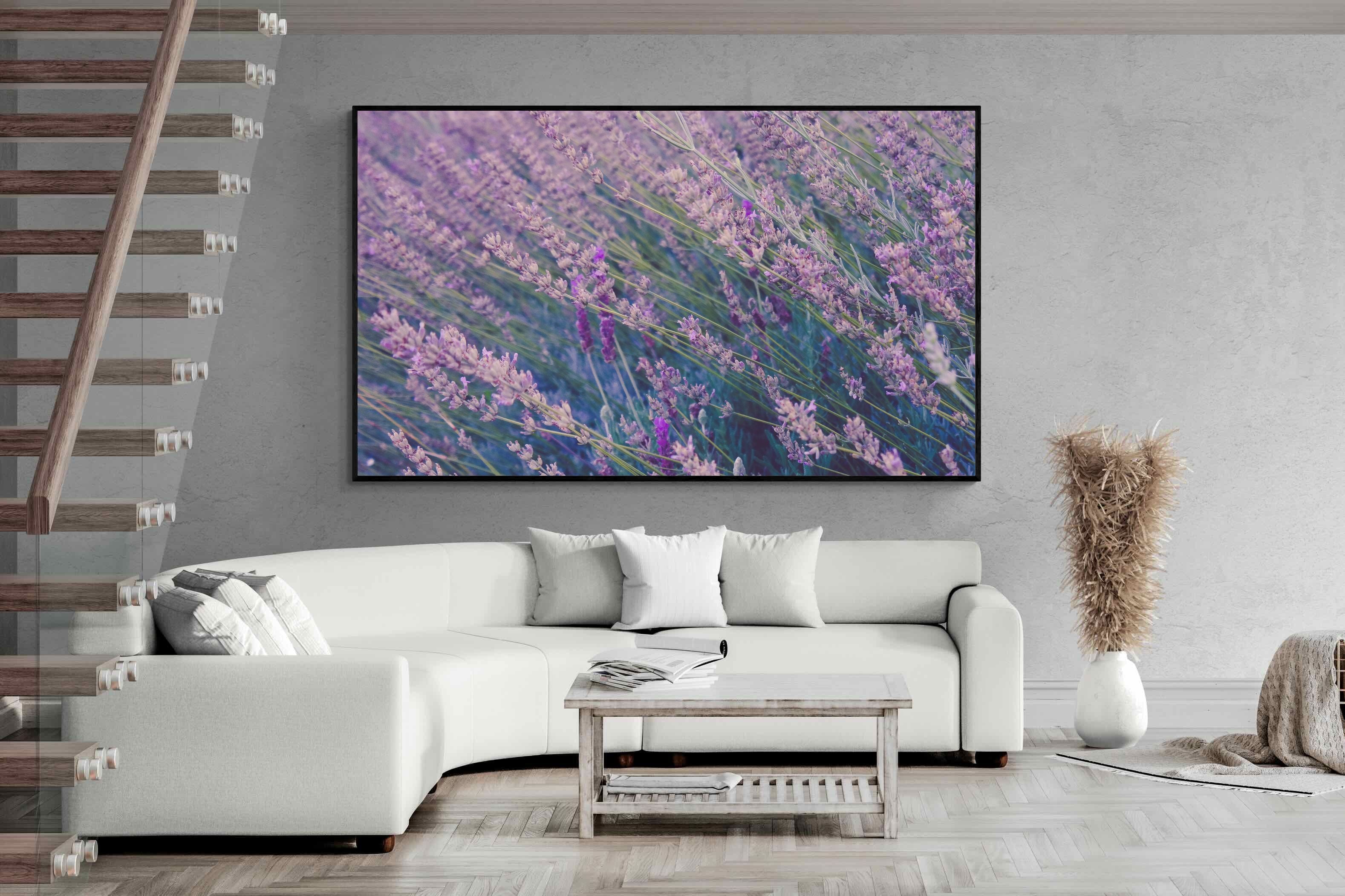 Pixalot Fields of Lavender