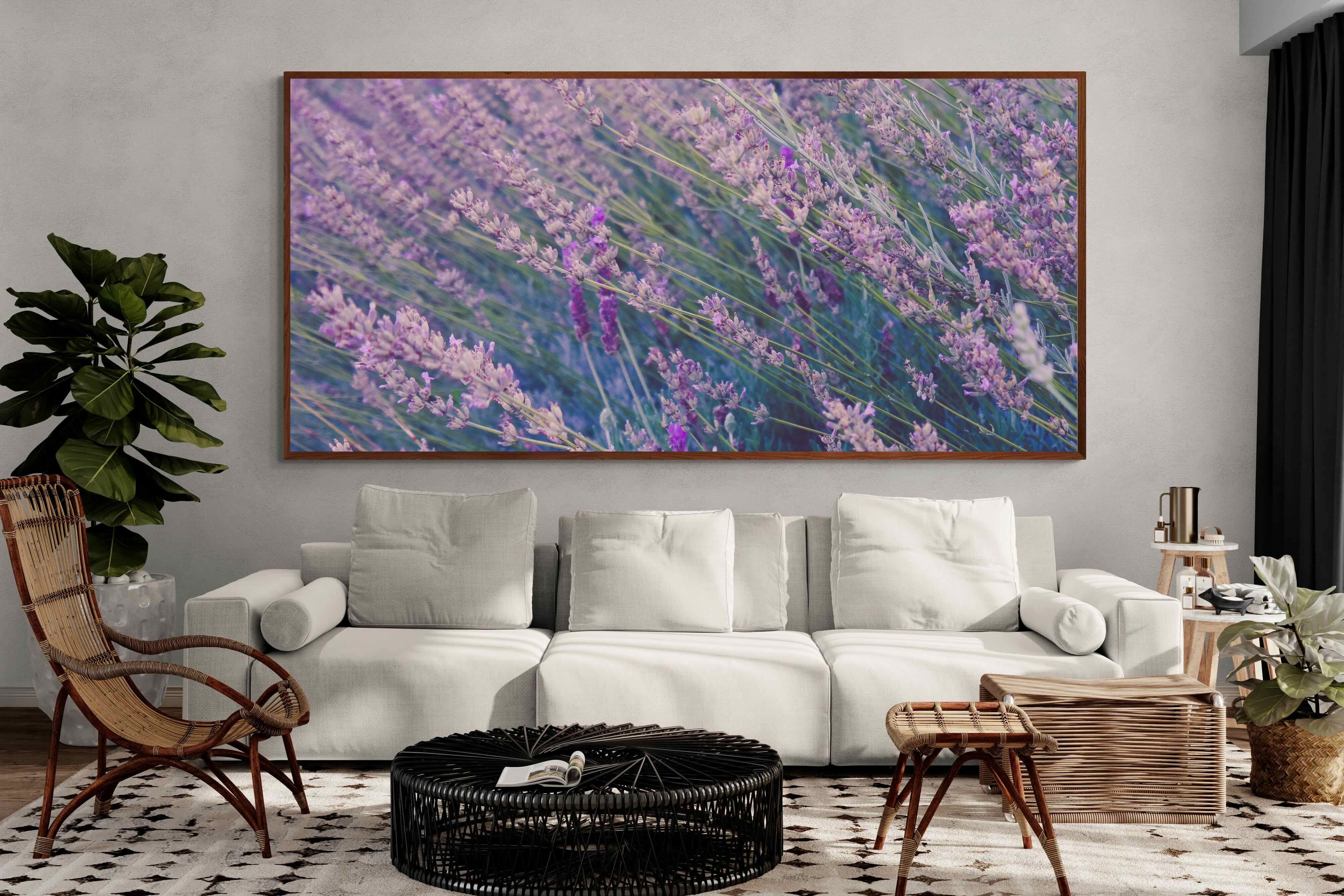 Pixalot ® Fields of Lavender