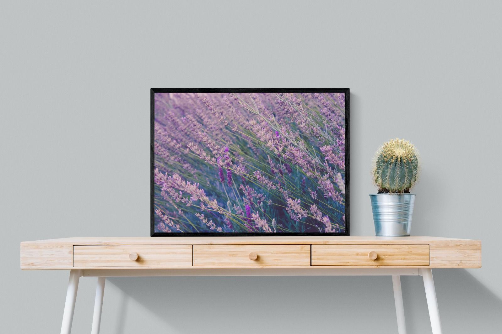 Pixalot Fields of Lavender