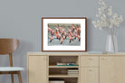 Pixalot ® Flamingo Flight
