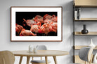 Pixalot ® Flamingo Flock