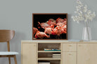 Pixalot ® Flamingo Flock